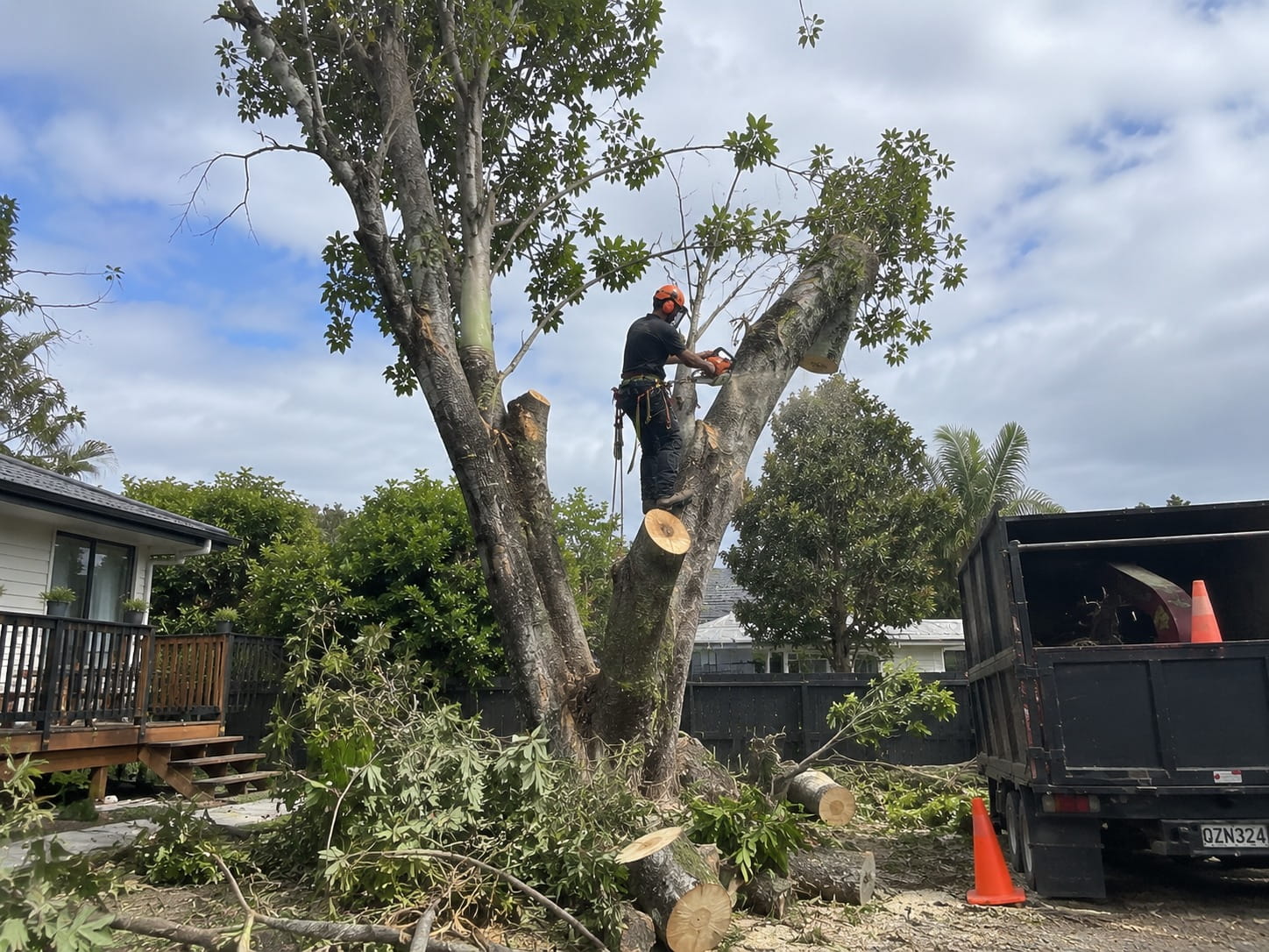 Arborist cutting a large limb from a tree beside a deck, with cut rounds stacked on the ground below
