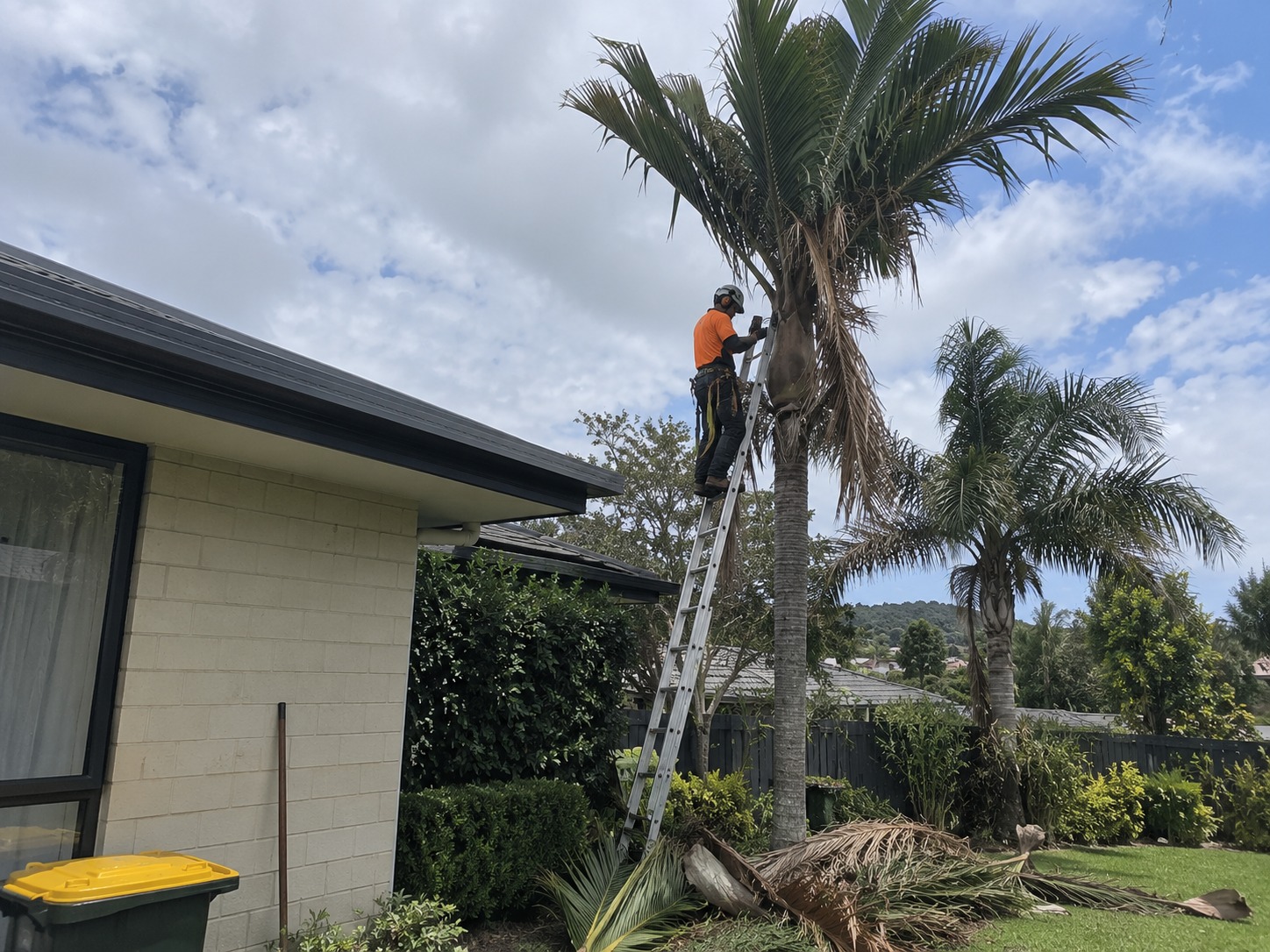 Arborist on a ladder working at the crownshaft of a Nikau beside an Auckland house, cut fronds stacked on the lawn
