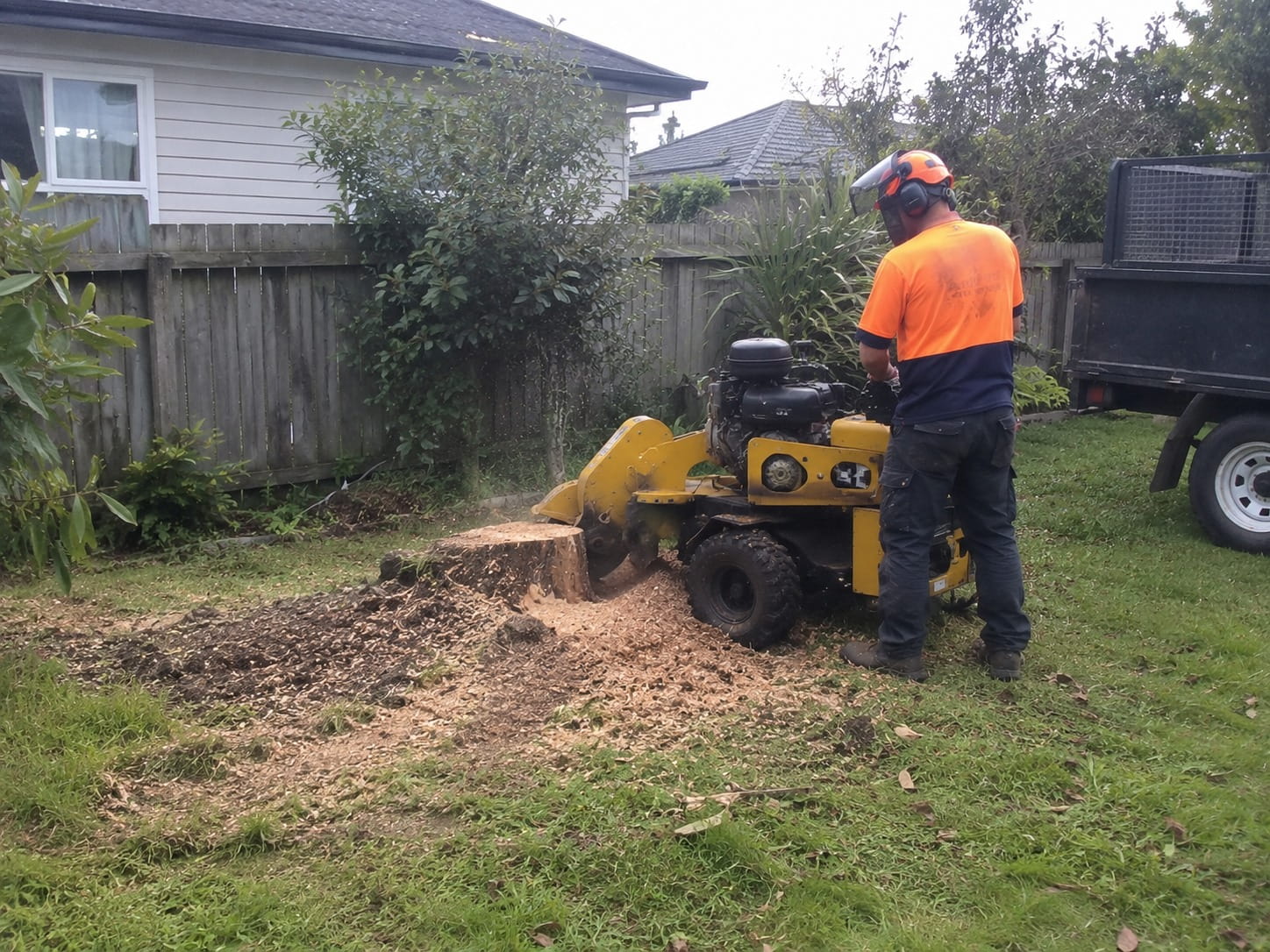 Operator running a stump grinder over a tree stump on an Auckland back lawn